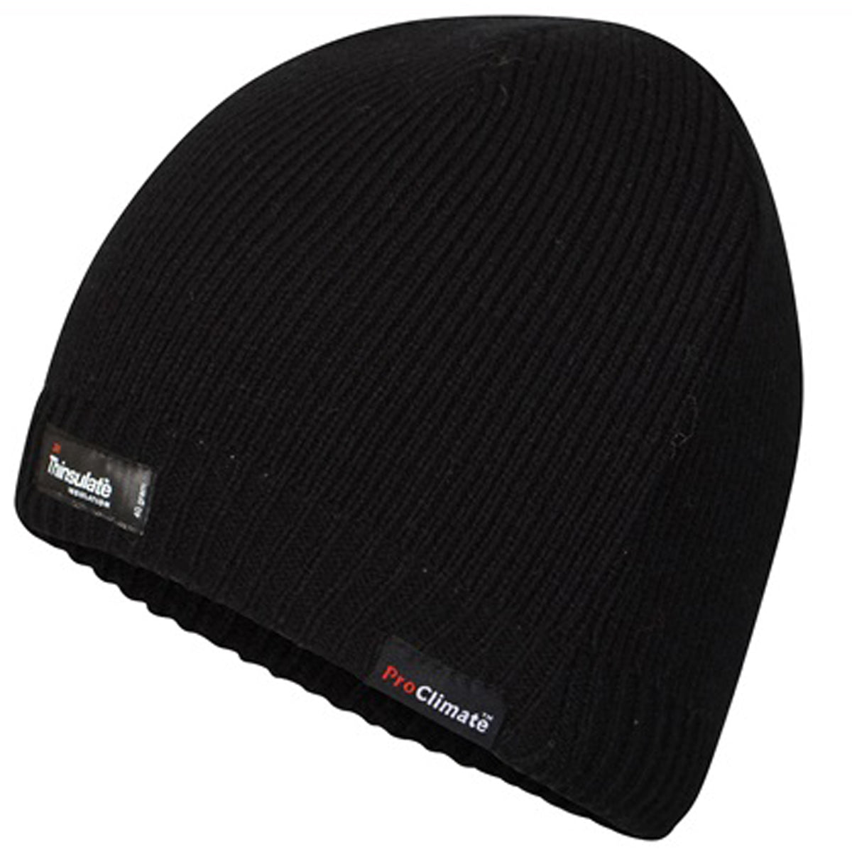 Unisex Waterproof & Windproof Thinsulate Beanie Hat